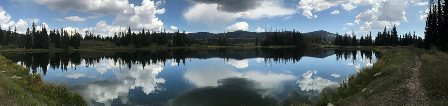 POTTERS POND photo