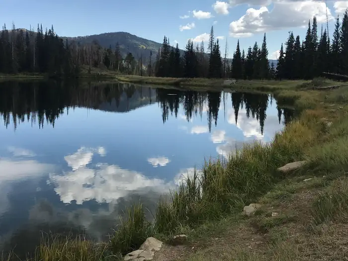 POTTERS POND photo 2