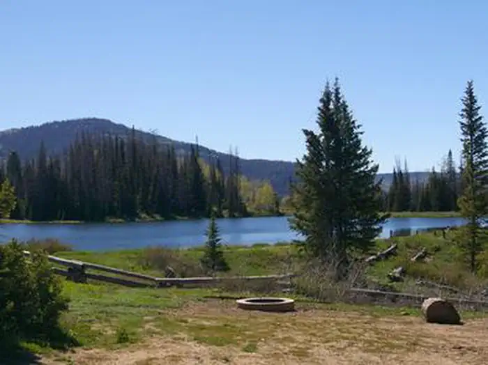 POTTERS POND photo 3
