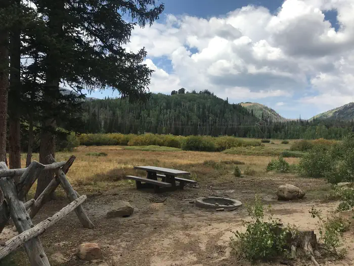 POTTERS POND photo 4