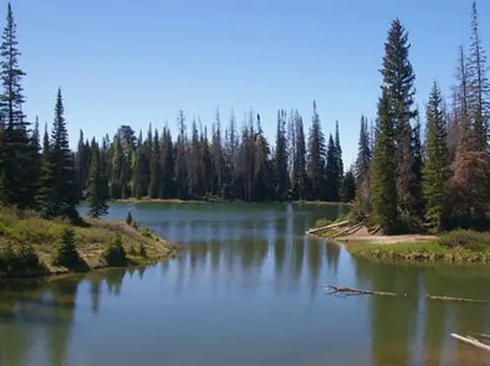 POTTERS POND photo 5
