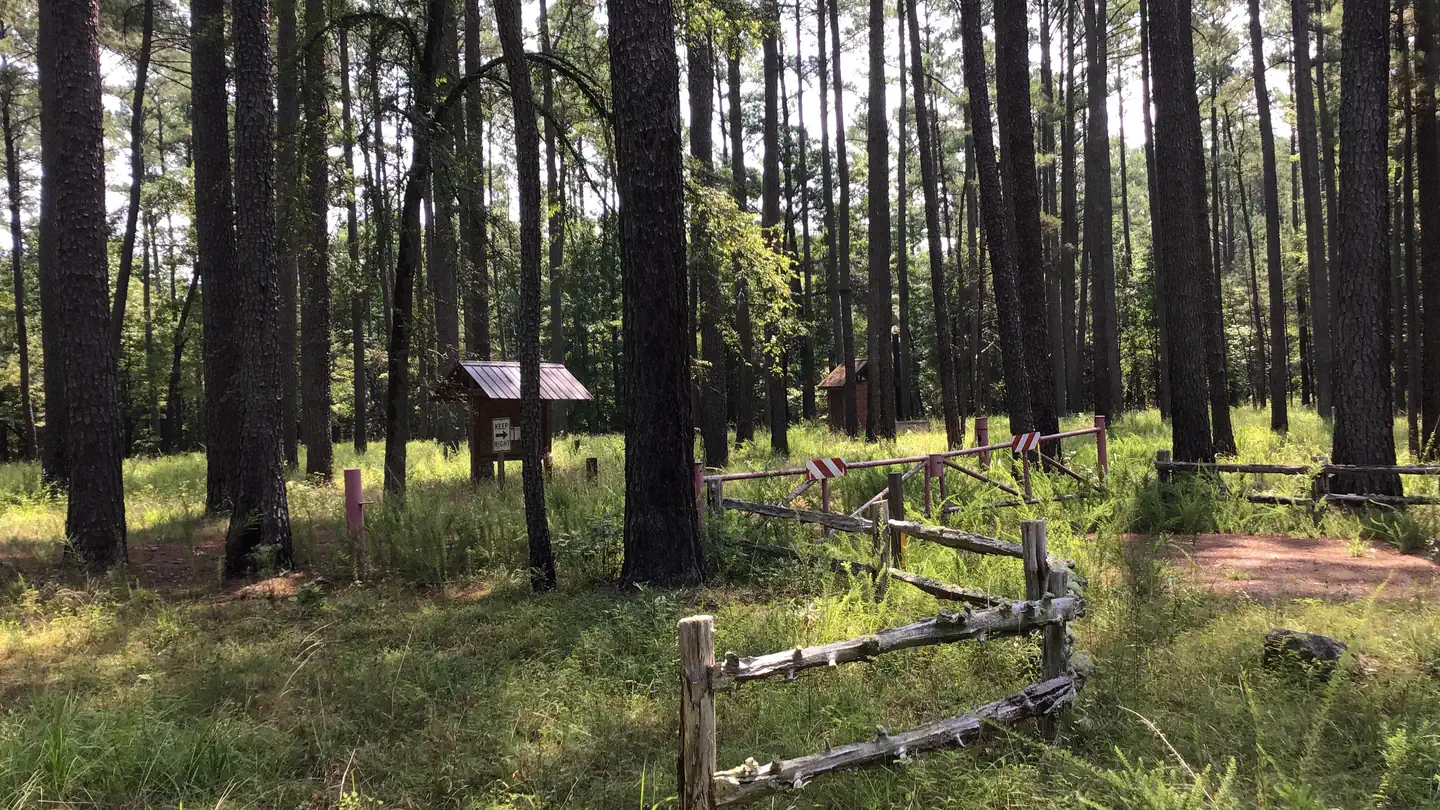 Poulous Loop Group Campground (SC) photo