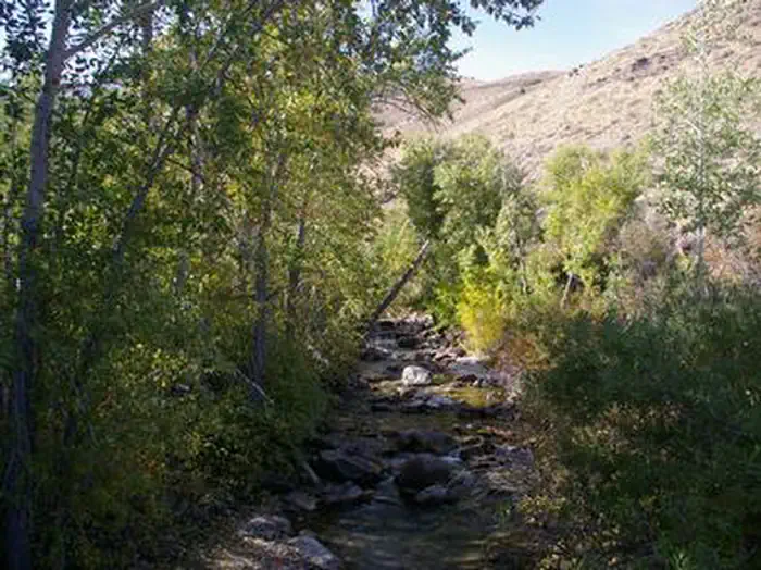 POWERHOUSE GROUP PICNIC AREA photo 4