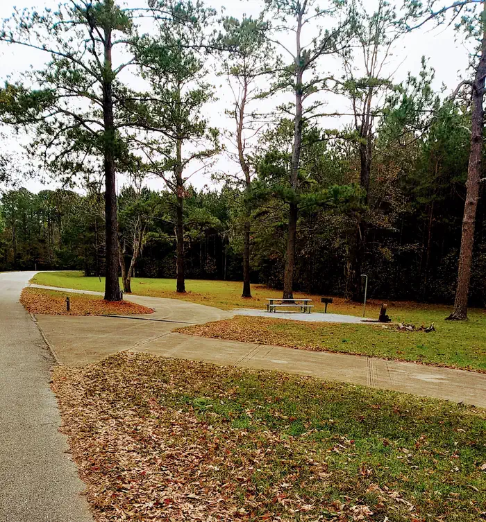 PRAIRIE CREEK (AL) photo 2