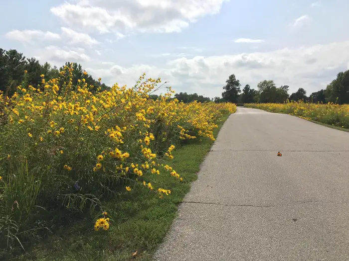 PRAIRIE FLOWER RECREATION AREA photo 2