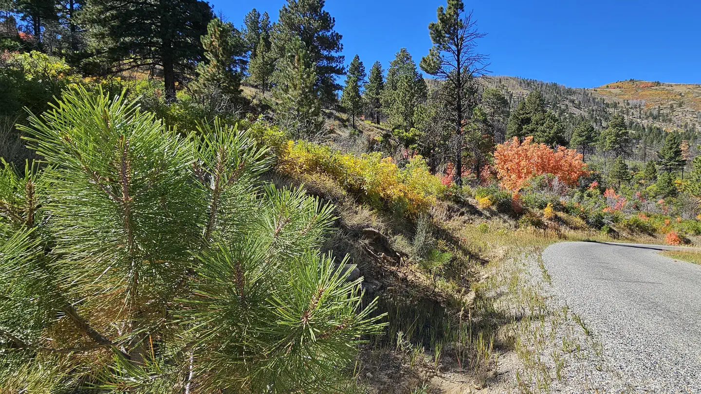 Price Canyon Recreation Area photo