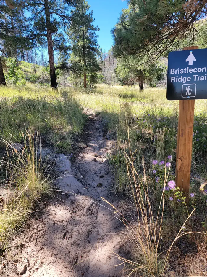 Price Canyon Recreation Area photo 3