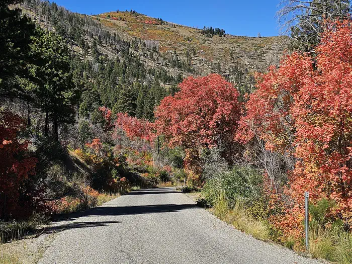 Price Canyon Recreation Area photo 4