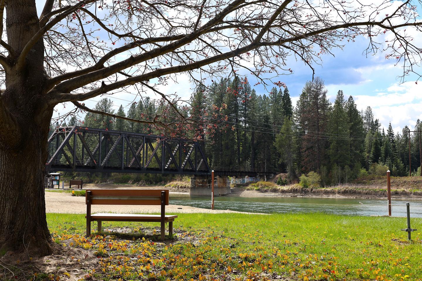 PRIEST RIVER photo 2