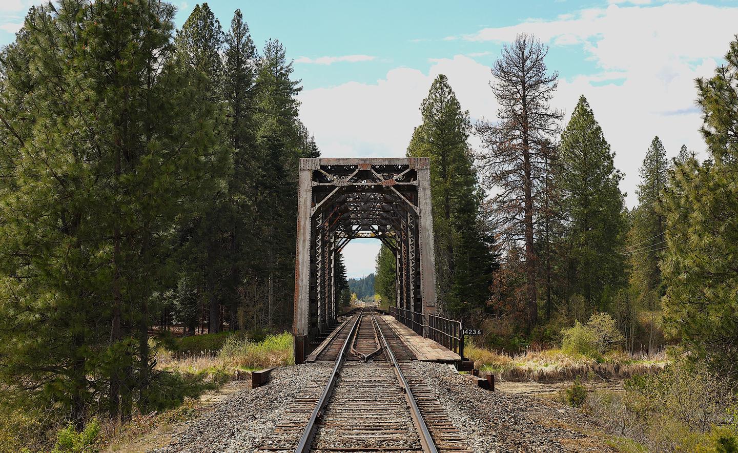 PRIEST RIVER photo 5
