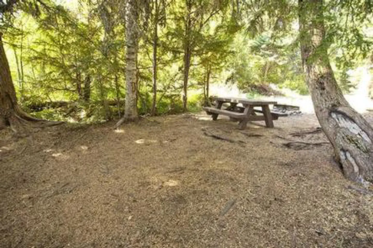 PRINCESS CREEK CAMPGROUND photo