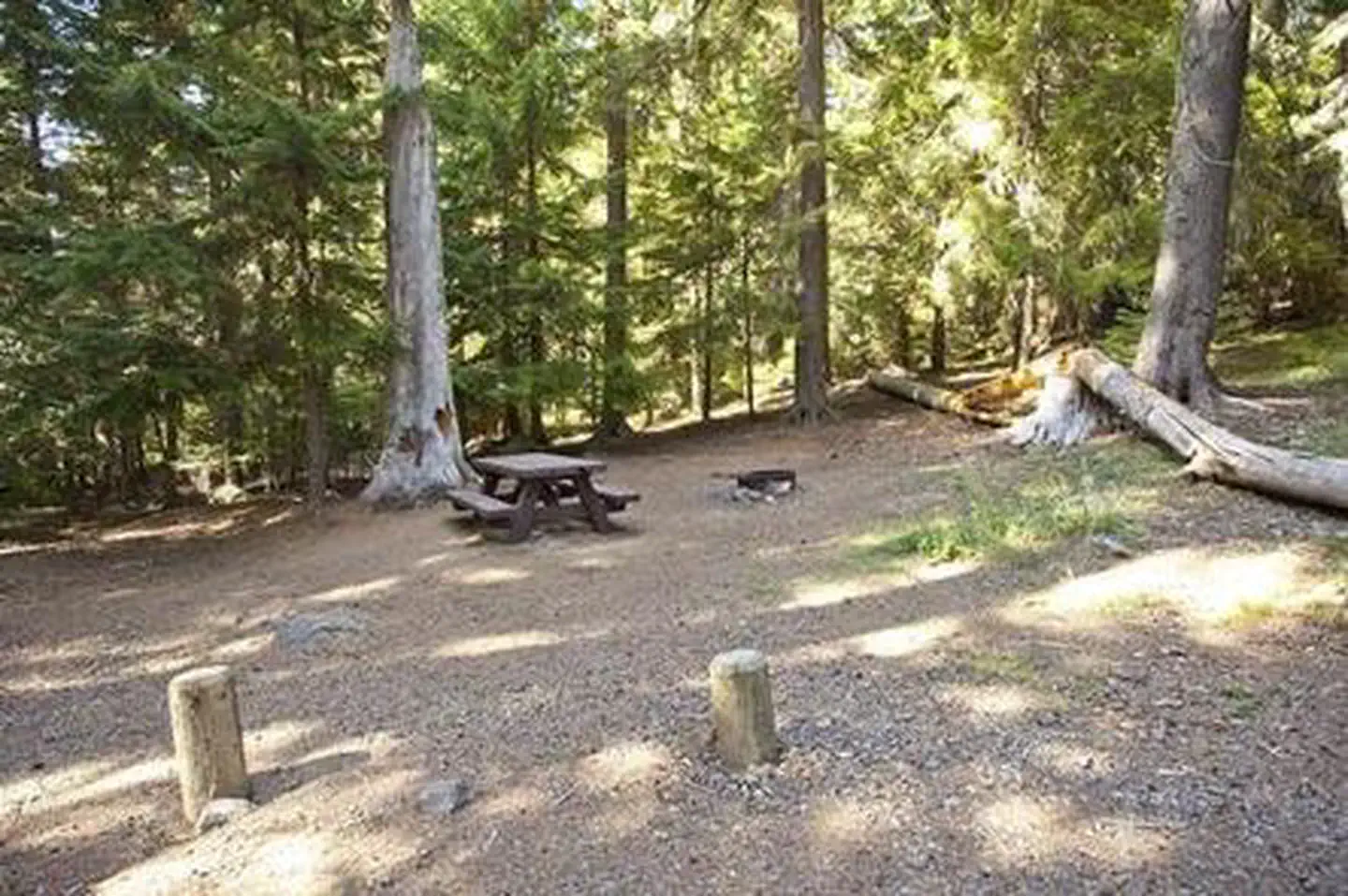 PRINCESS CREEK CAMPGROUND photo 3