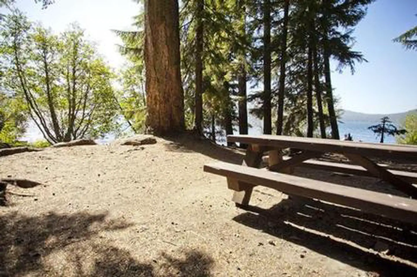 PRINCESS CREEK CAMPGROUND photo 4