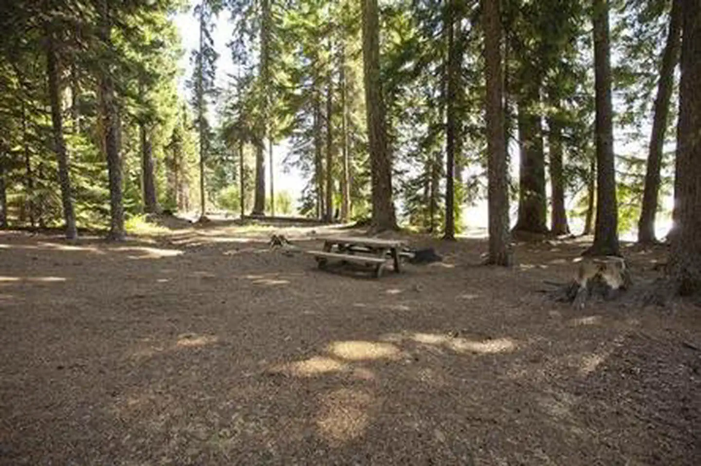 PRINCESS CREEK CAMPGROUND photo 5
