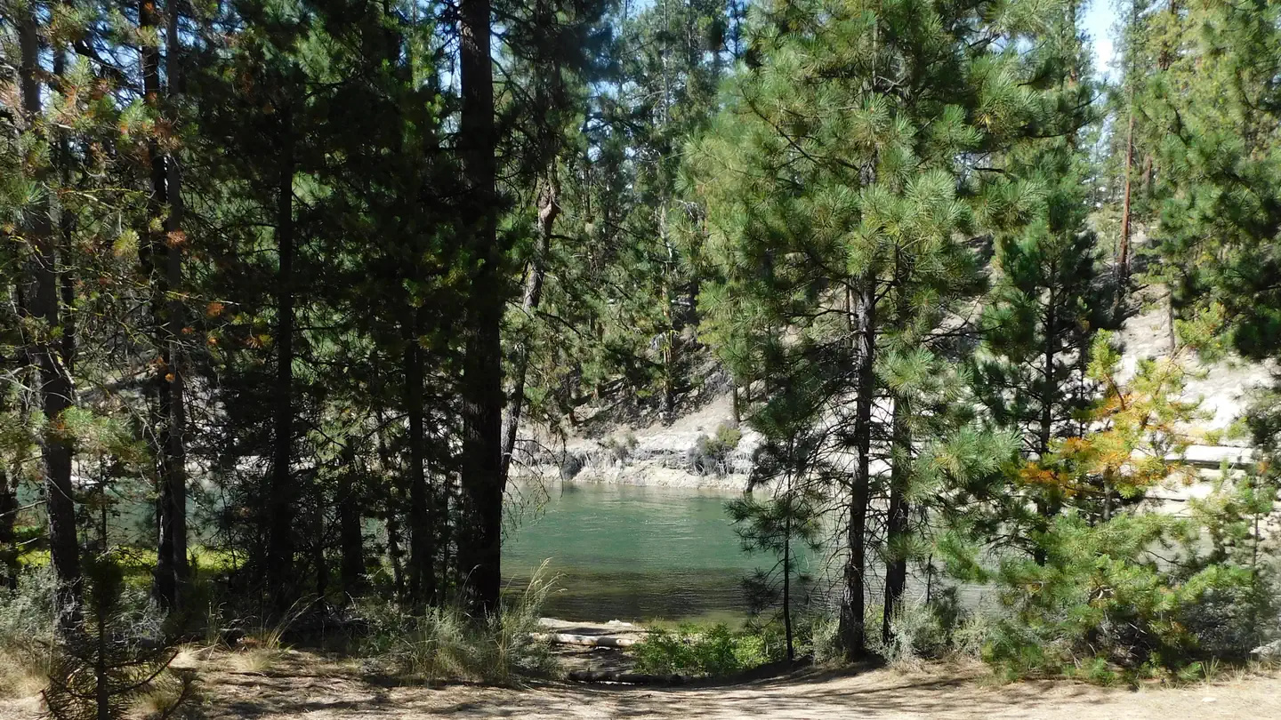 PRINGLE FALLS CAMPGROUND photo
