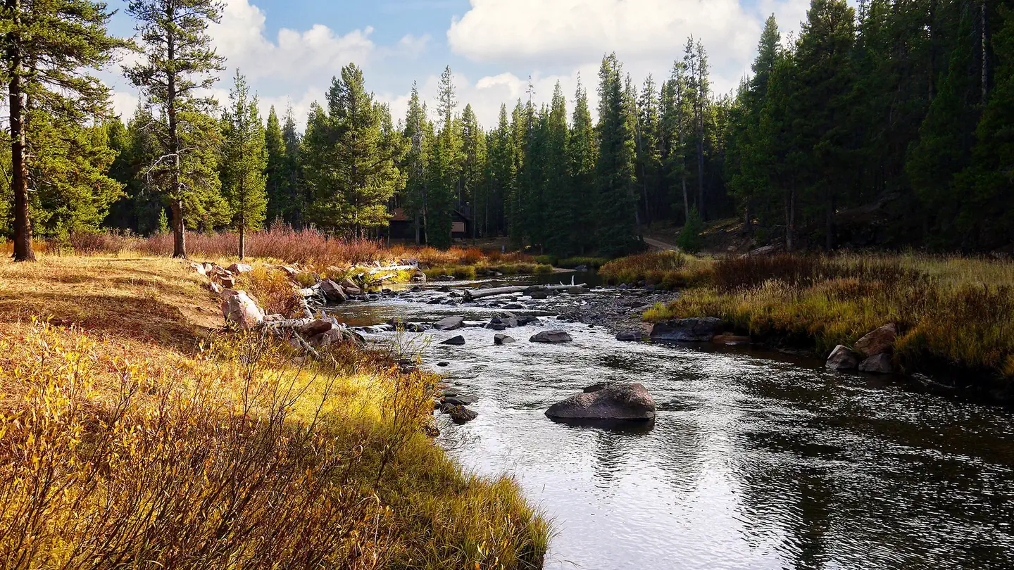 PRUNE CREEK photo