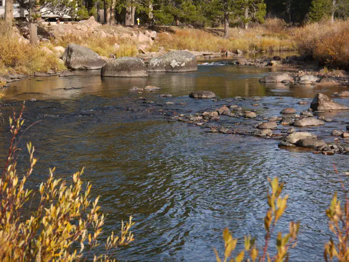 PRUNE CREEK photo 4