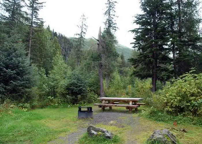 PTARMIGAN CREEK photo 4