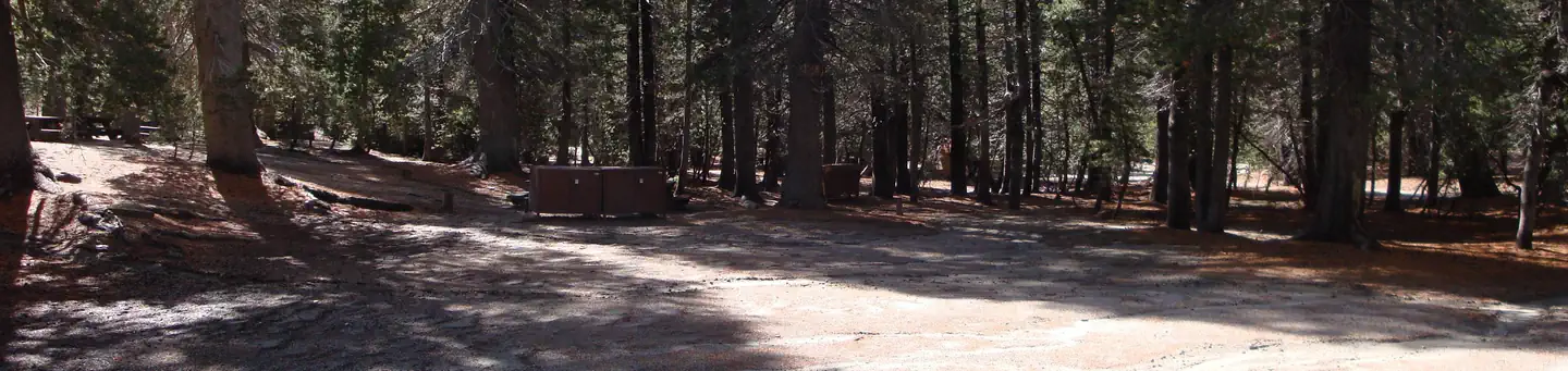 PUMICE FLAT GROUP CAMP photo