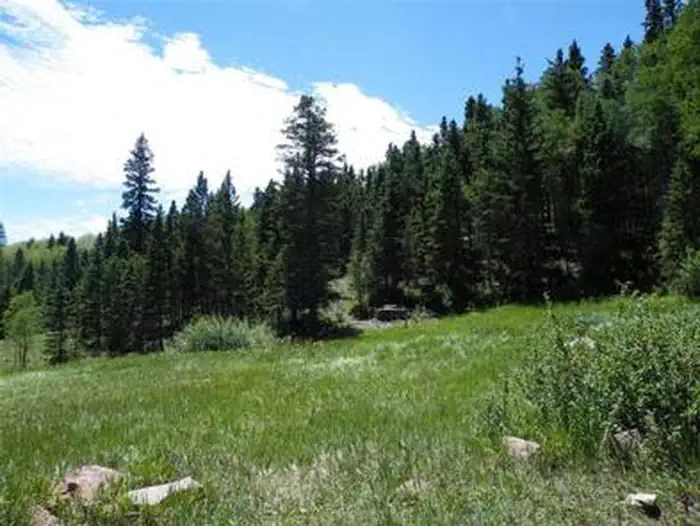 PURGATOIRE CAMPGROUND photo 3