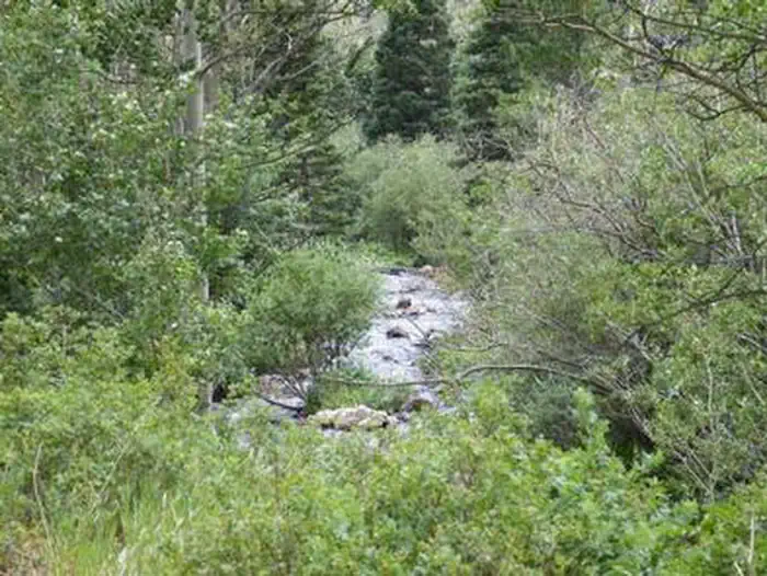 PURGATOIRE CAMPGROUND photo 4