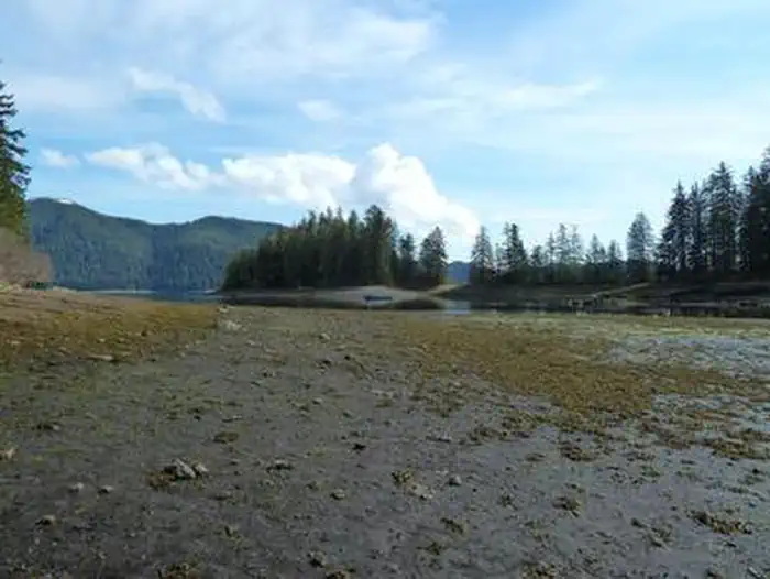 PYBUS BAY CABIN photo 4