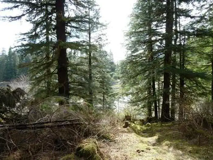 PYBUS BAY CABIN photo 5