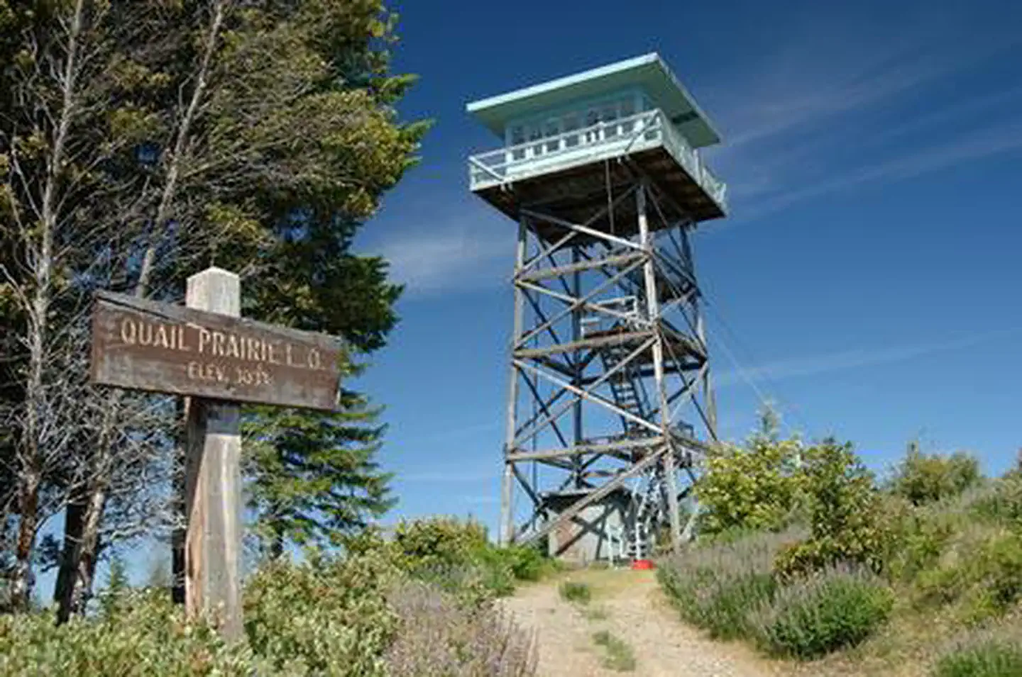 QUAIL PRAIRIE LOOKOUT photo