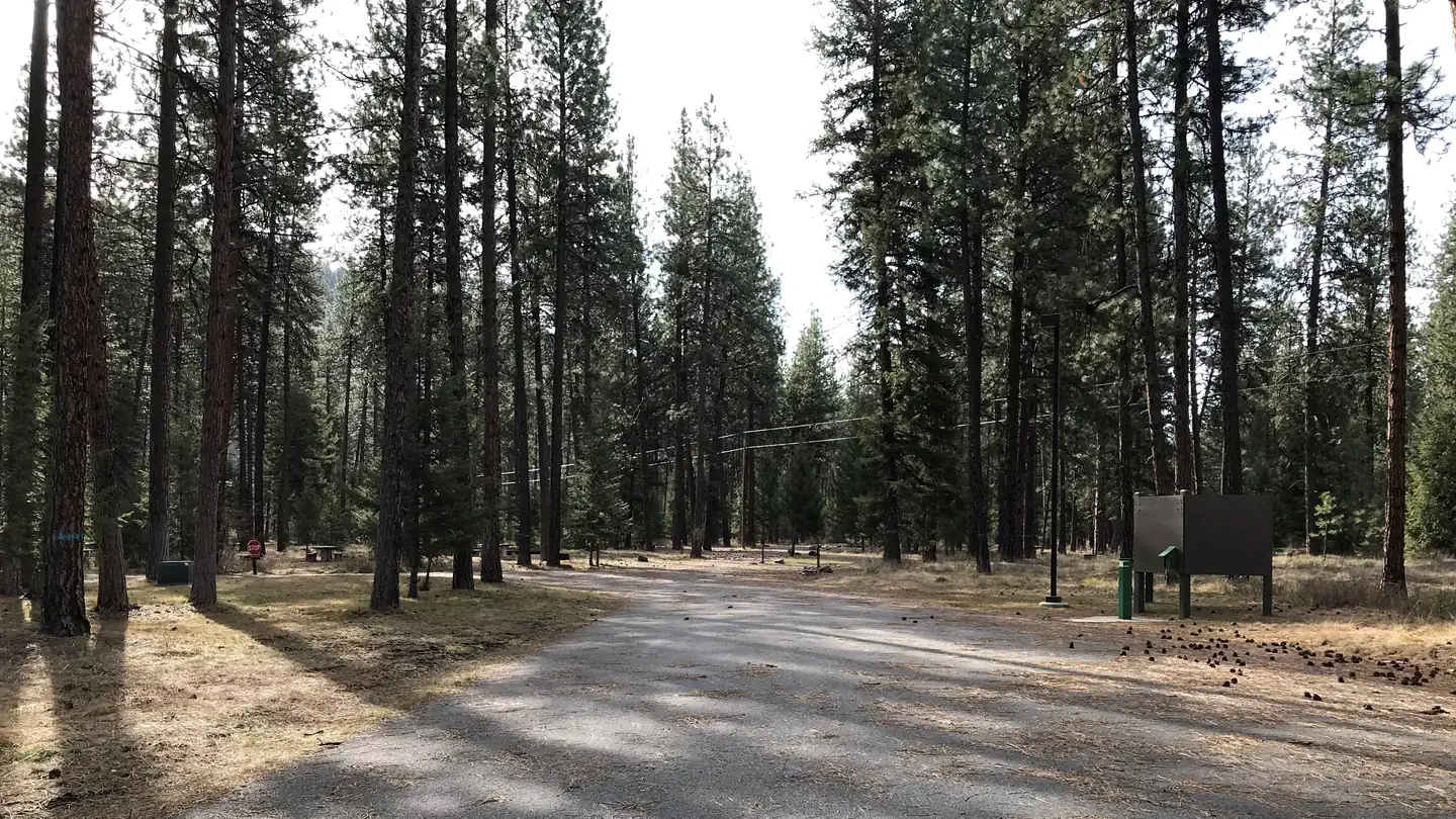 Quartz Flat Campground (MT) photo