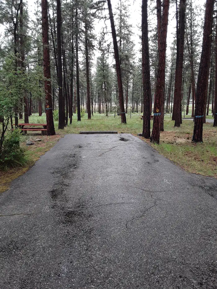 Quartz Flat Campground (MT) photo 2