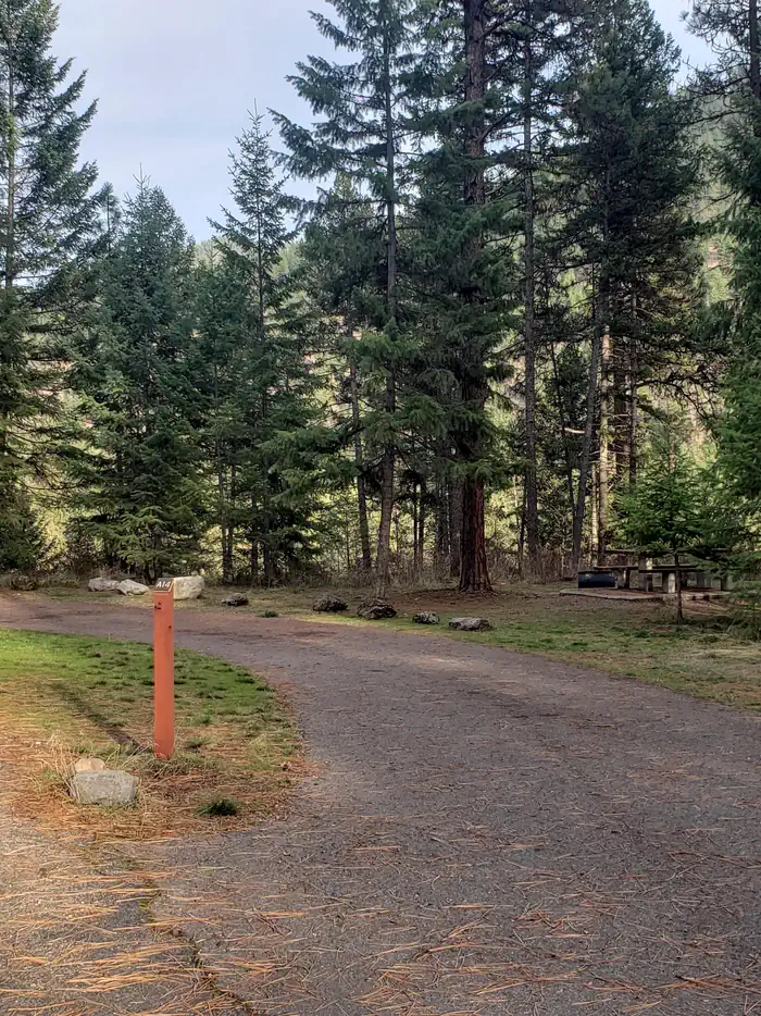 Quartz Flat Campground (MT) photo 3