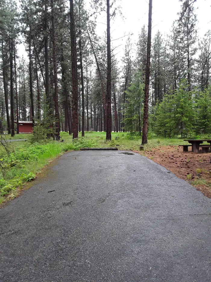 Quartz Flat Campground (MT) photo 4
