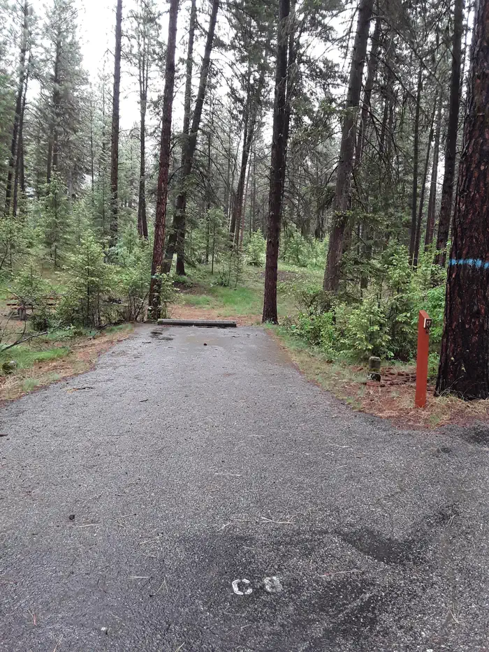 Quartz Flat Campground (MT) photo 5