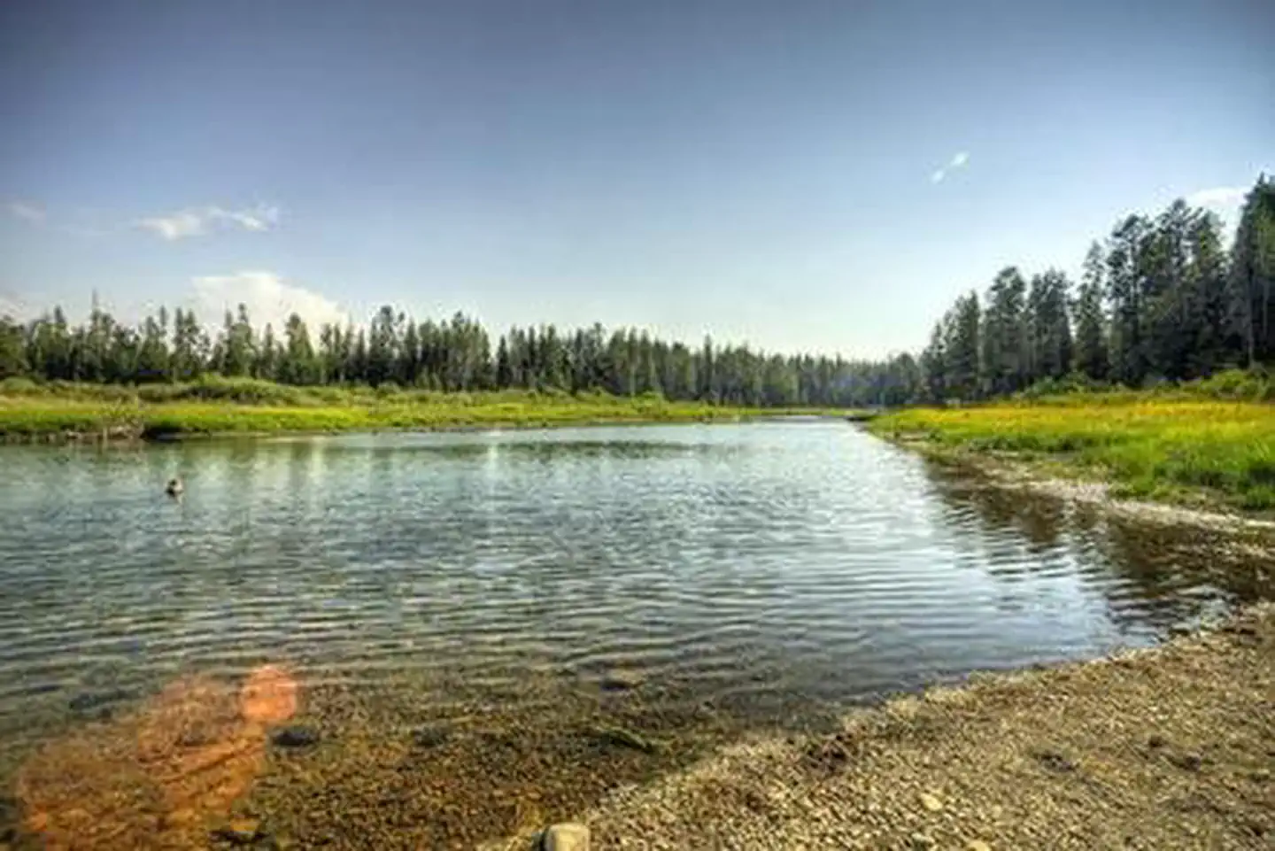 QUINN RIVER CAMPGROUND photo 4