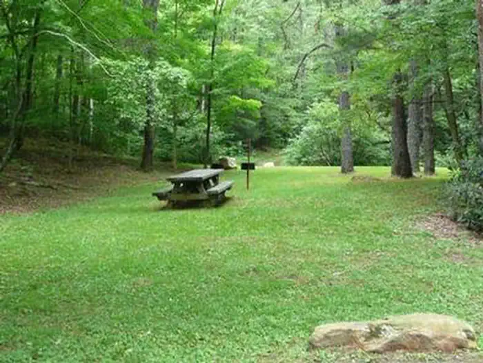 RACCOON BRANCH CAMPGROUND photo 2