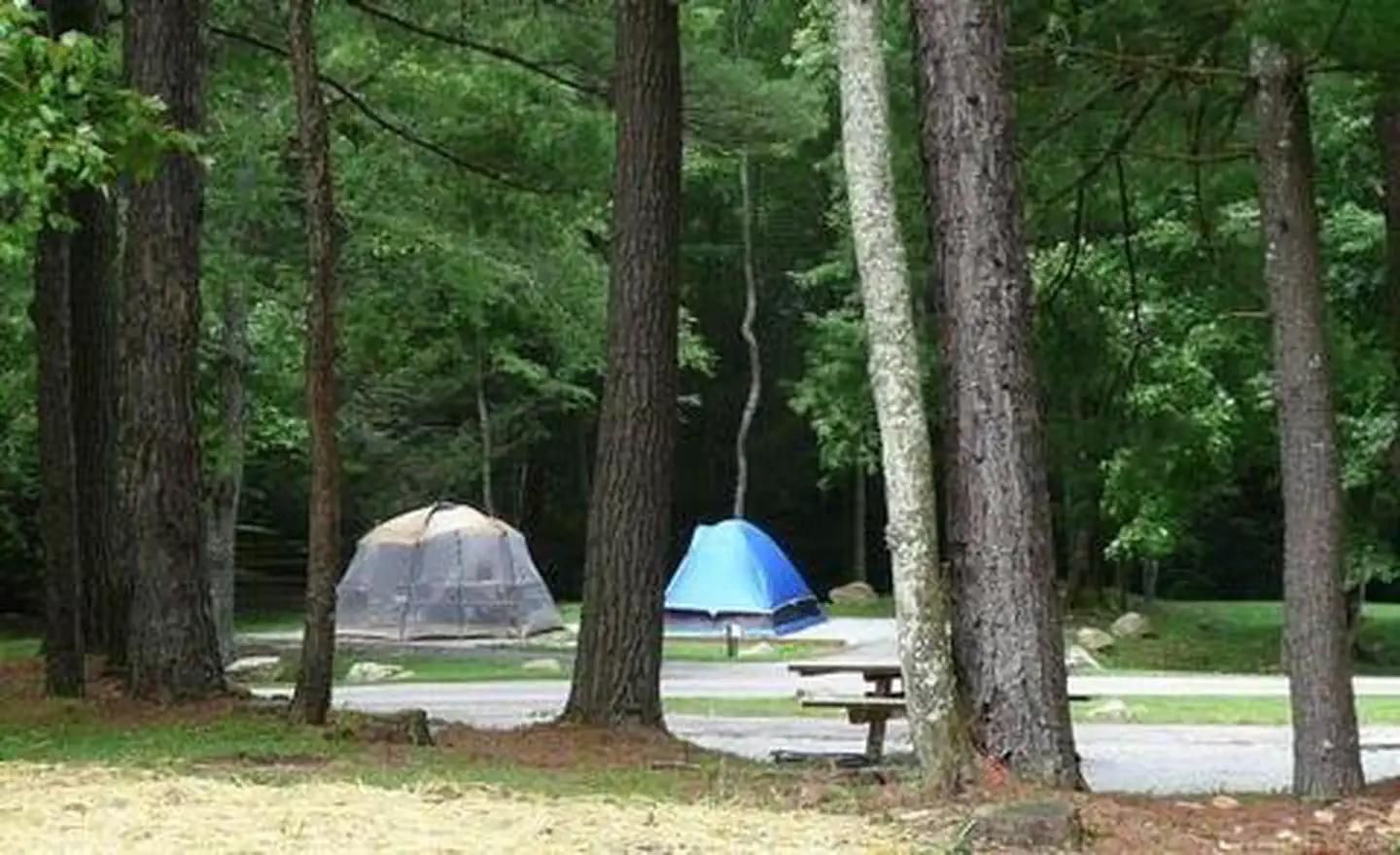 RACCOON BRANCH CAMPGROUND photo 3