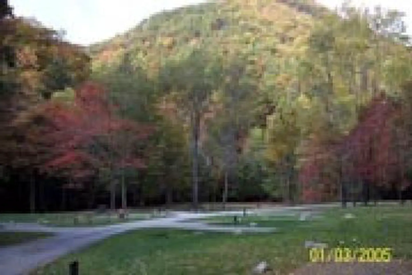 RACCOON BRANCH CAMPGROUND photo 4
