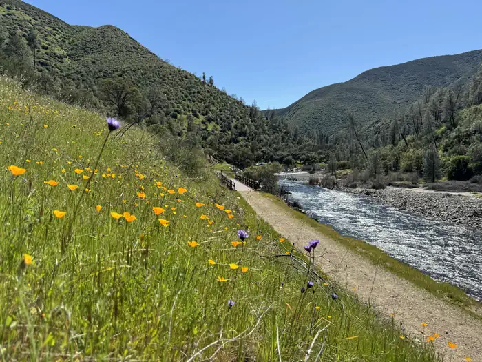 Railroad Flat Campground photo 2