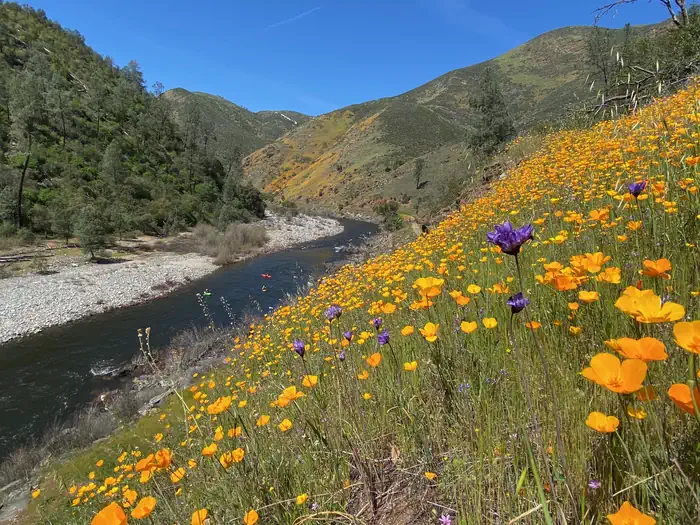 Railroad Flat Campground photo 4