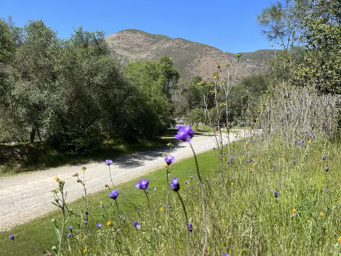 Railroad Flat Campground photo 5