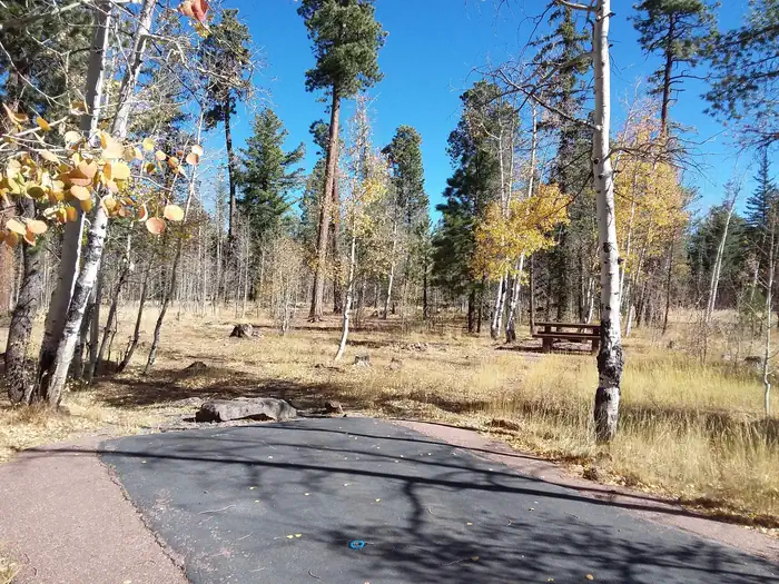 RAINBOW (AZ) photo 3