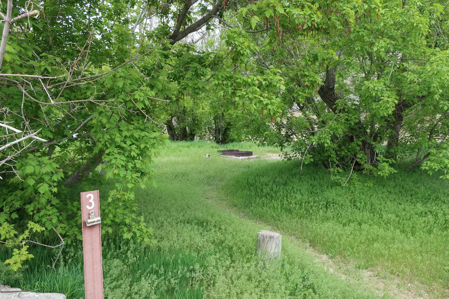 Rainbow Park Campground photo 4