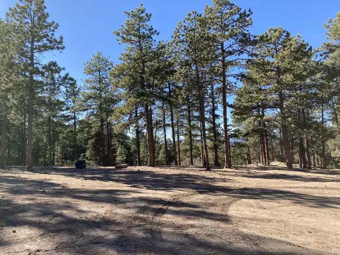 Rampart Range Recreation Area Designated Dispersed Camping photo 3
