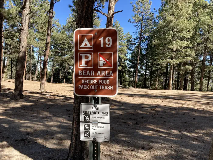 Rampart Range Recreation Area Designated Dispersed Camping photo 4