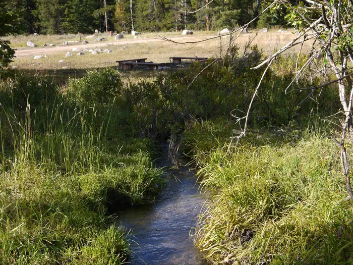 Ranger Creek Recreation Area photo 2
