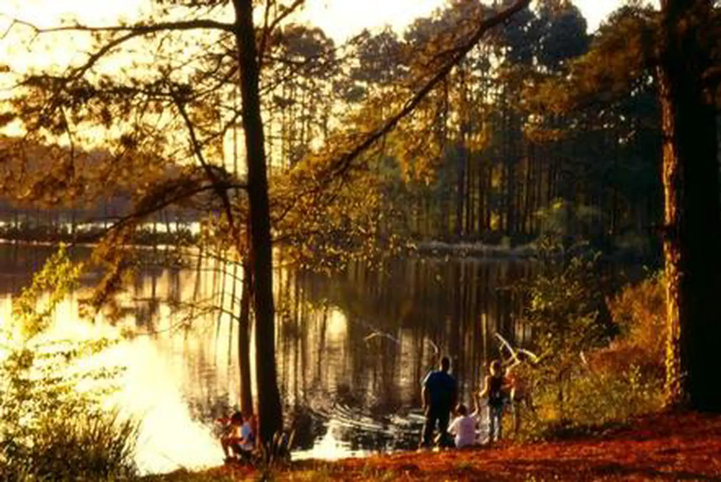 RATCLIFF LAKE RECREATION AREA photo 4