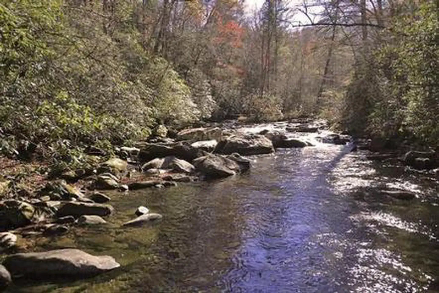 RATTLER FORD GROUP CAMPGROUND photo 3