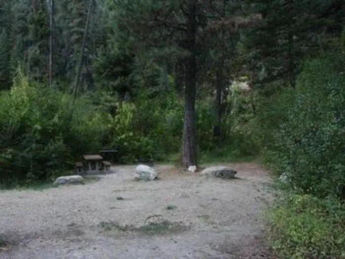 RATTLESNAKE photo 4