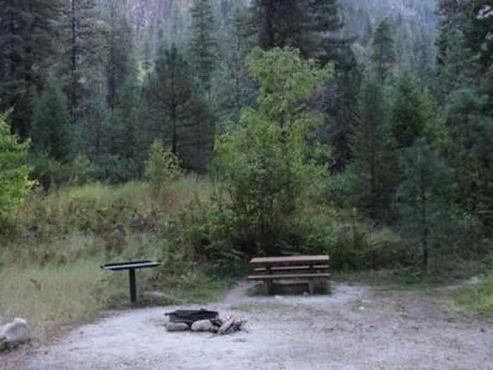 RATTLESNAKE photo 5