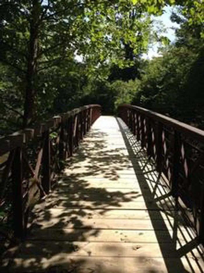 Raven Cliff Recreation Area photo 3